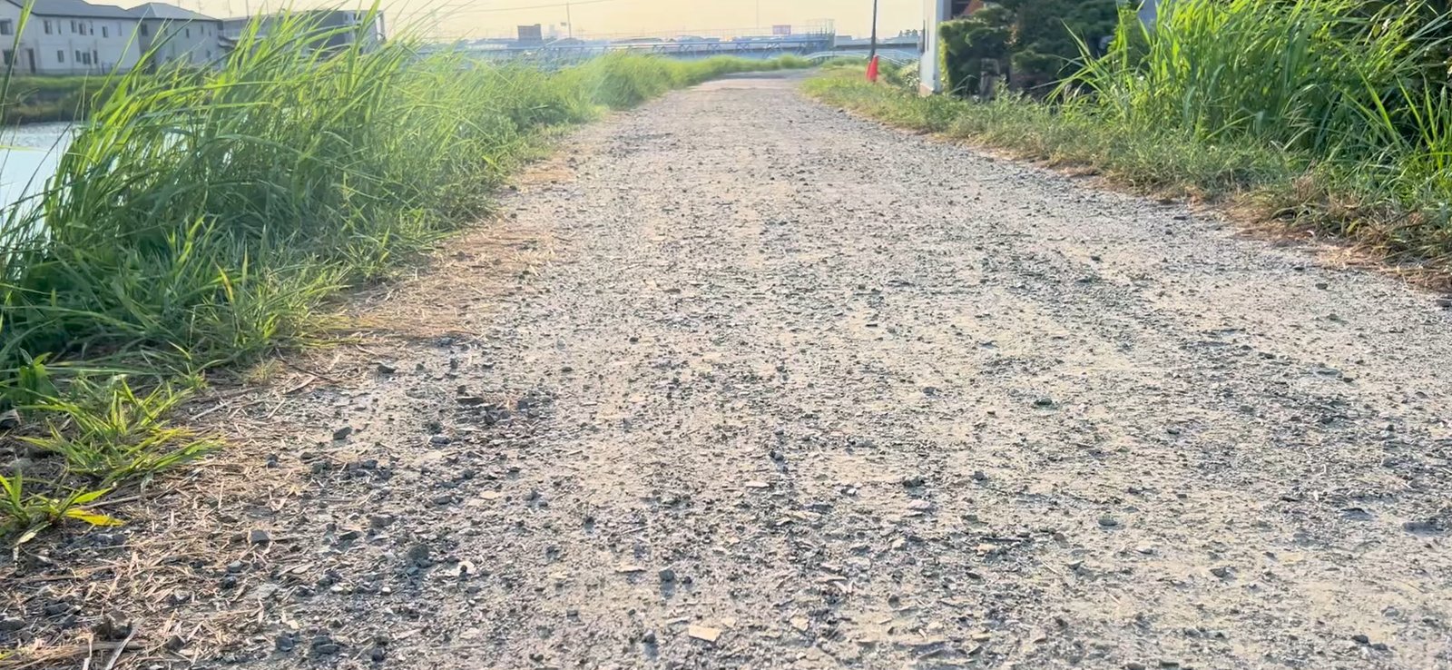 嫌いなままでいいと思えるようになった今を重ねた、夕方の砂利道